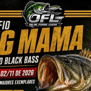 DESAFIO BIG MAMA